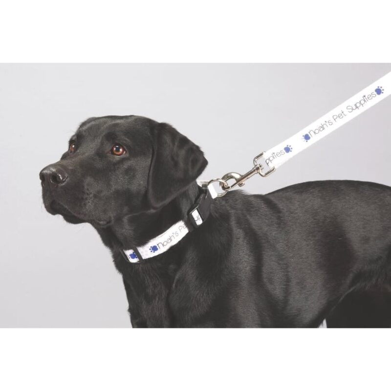 Custom Full Color 1'' Wide Premium Pet Leash - 1