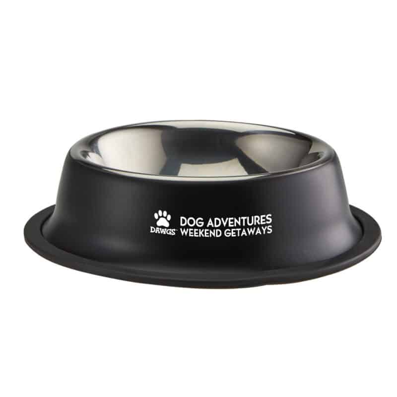 Custom Medium Stainless Steel Pet Bowl - 3