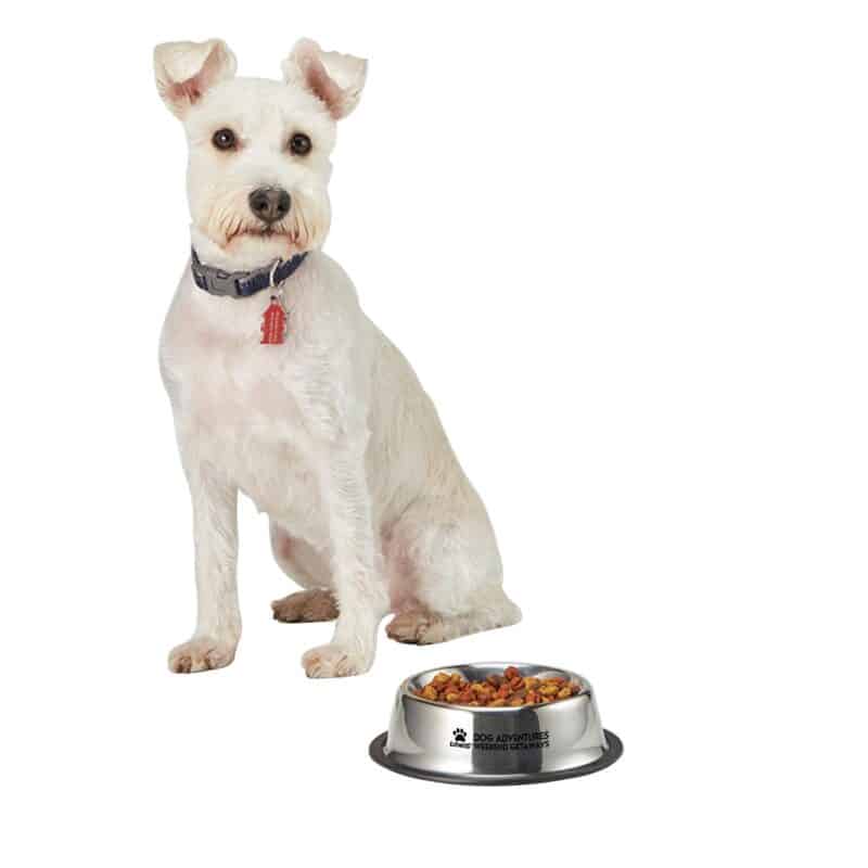 Custom Medium Stainless Steel Pet Bowl