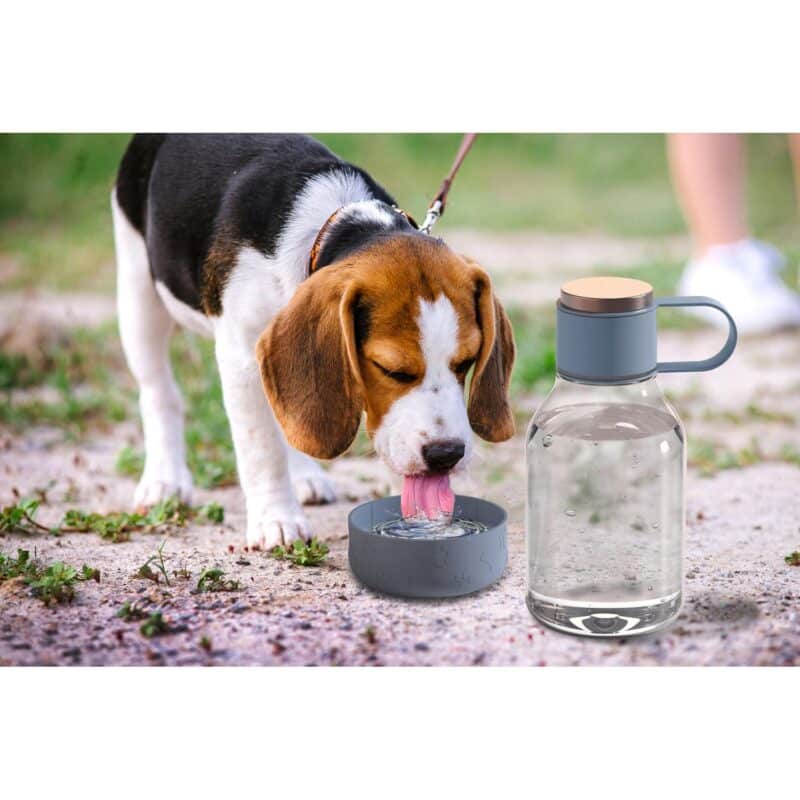 Custom Asobu® 50 Oz. Dog Bowl Bottle Lite - 9