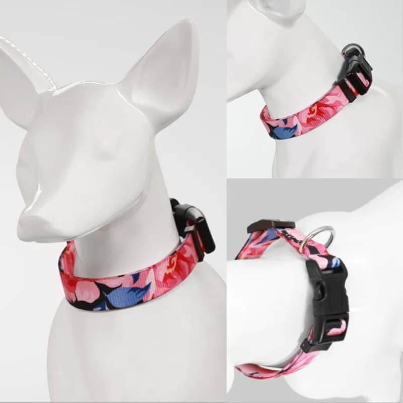 Custom Full Color Pet Collar - 1