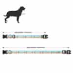 Custom Full Color Pet Collar - 2