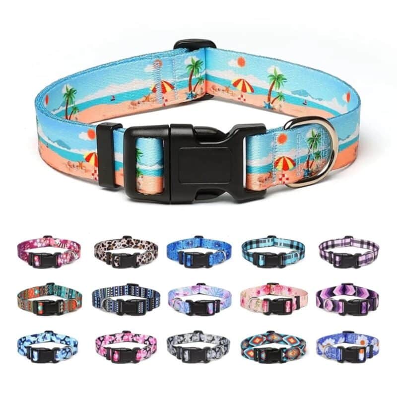Custom Full Color Pet Collar