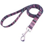 Custom Full Color Pet Leash - 2