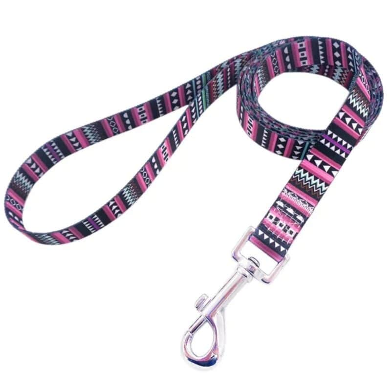 Custom Full Color Pet Leash - 2