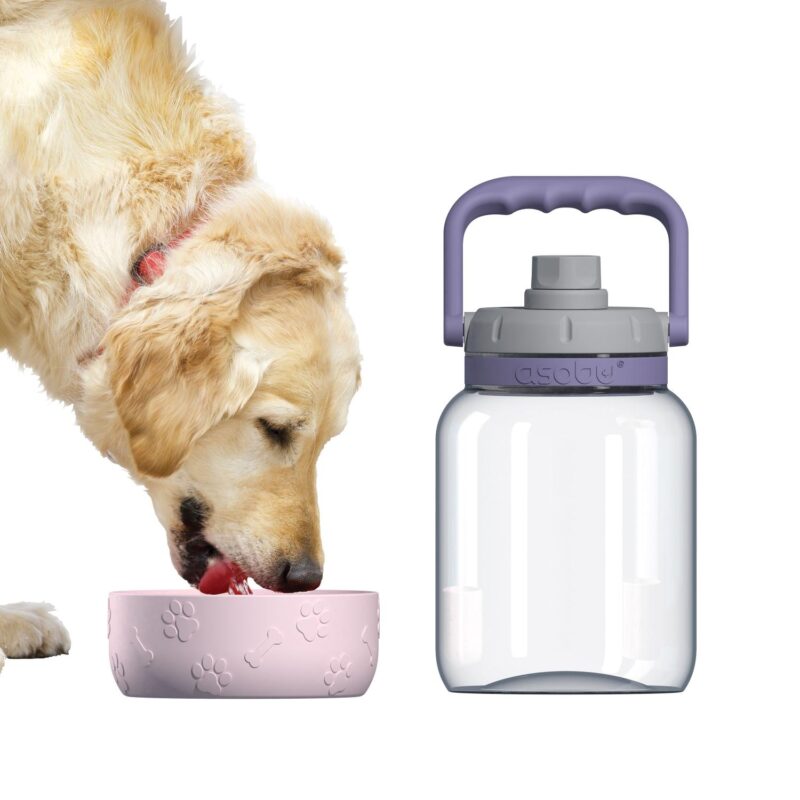Custom Asobu® 50 Oz. The Barkley Jug w/Bowl - 8
