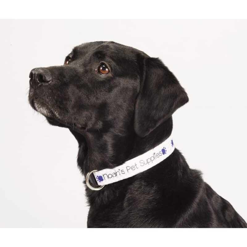 Custom Full Color 1'' Wide Adjustable Pet Collar - 2