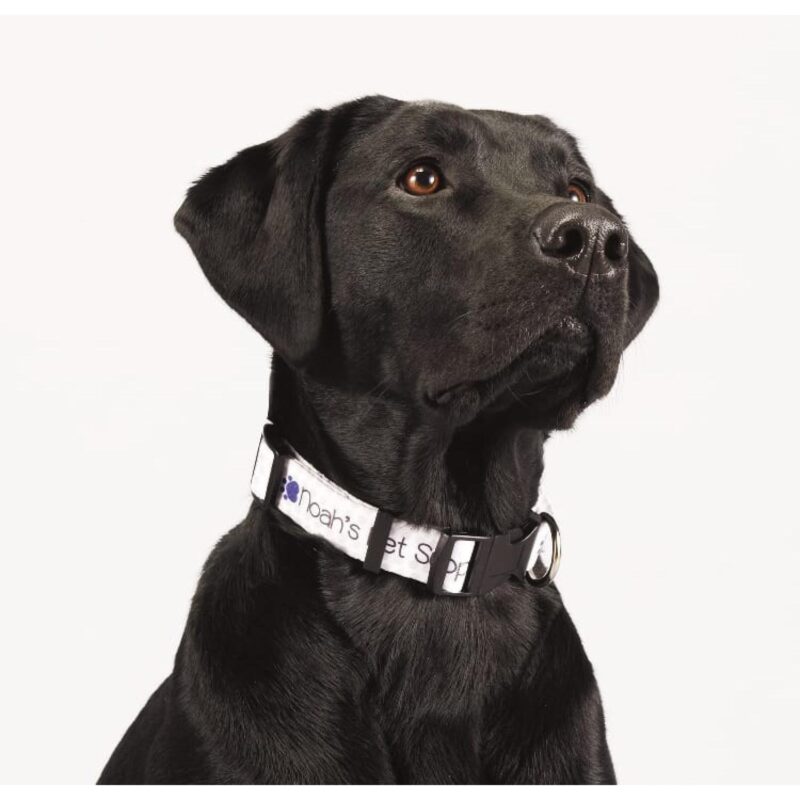 Custom Full Color 1'' Wide Adjustable Pet Collar - 3