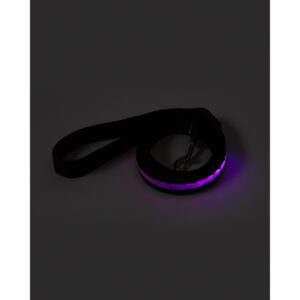 Custom Rechargeable LED Light-Up Dog Leash - 1