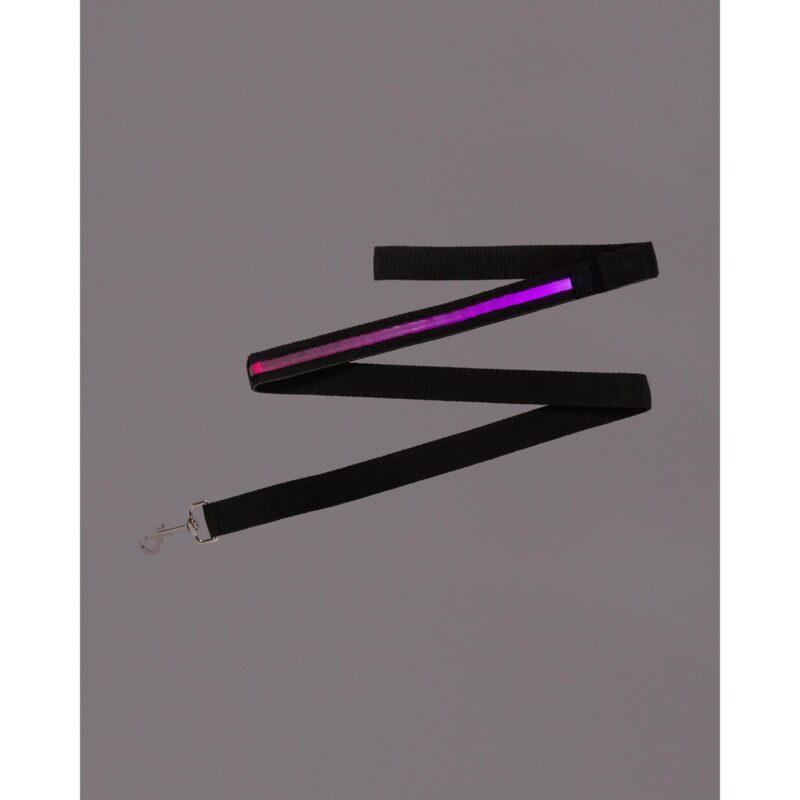 Custom Rechargeable LED Light-Up Dog Leash - 3