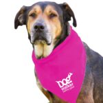 Custom Garyline® Large Triangle Doggie Bandana - 1