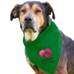 Custom Garyline® Large Triangle Doggie Bandana - 2