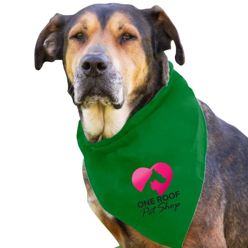 Custom Garyline® Large Triangle Doggie Bandana - 2