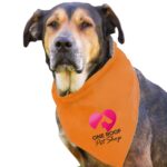 Custom Garyline® Large Triangle Doggie Bandana - 4