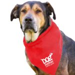 Custom Garyline® Large Triangle Doggie Bandana - 5