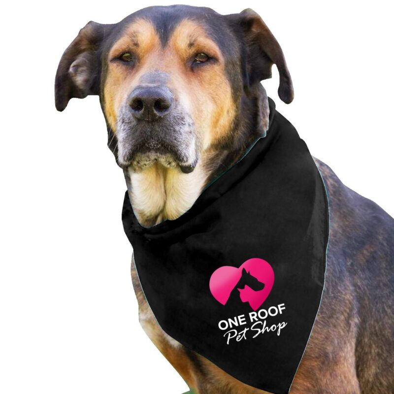 Custom Garyline® Large Triangle Doggie Bandana