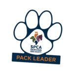 Custom Paw Shape Decal with Footer