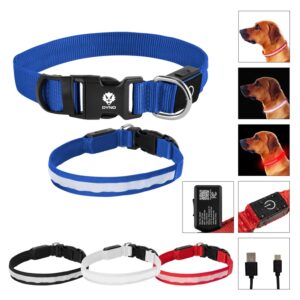 Custom Light Up Rechargable Pet Collar - Medium