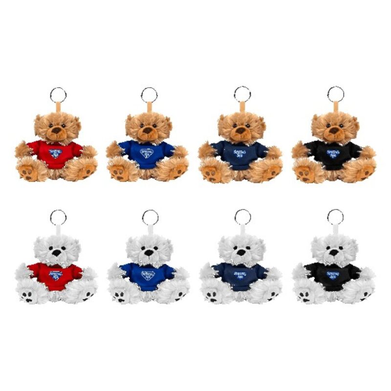 Custom Paws 5" Teddy Bear with Keyring