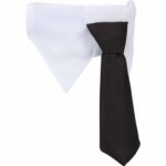 Custom Paws & Claws Pet Neck Tie Collar - 4
