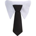 Custom Paws & Claws Pet Neck Tie Collar - 7