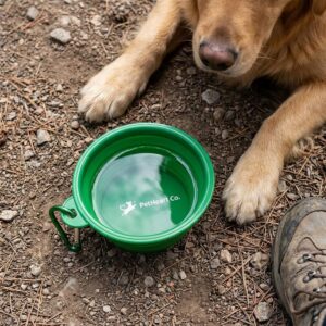 Custom Collapsible Pet Bowl