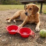Custom Dual Collapsible Pet Bowl