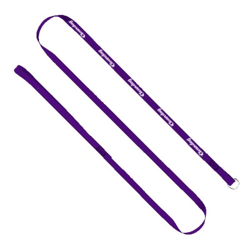 Custom 1/2" x 60" Smooth Nylon Pet Slip Leash - 6