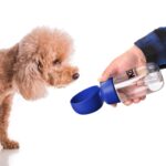 Custom 13 Oz. Pet Water Bottle w/Bowl - 3