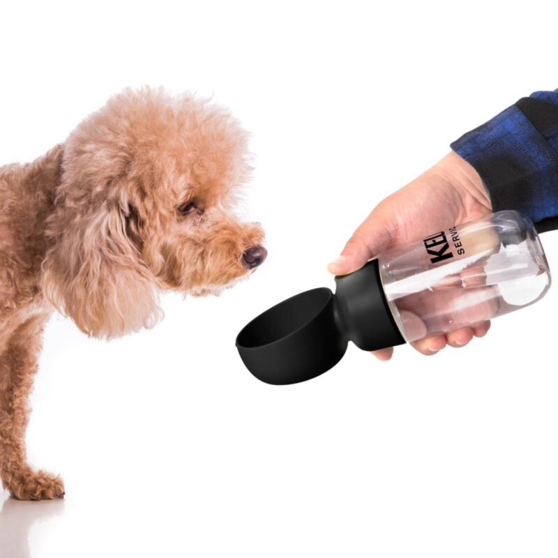 Custom 13 Oz. Pet Water Bottle w/Bowl - 6
