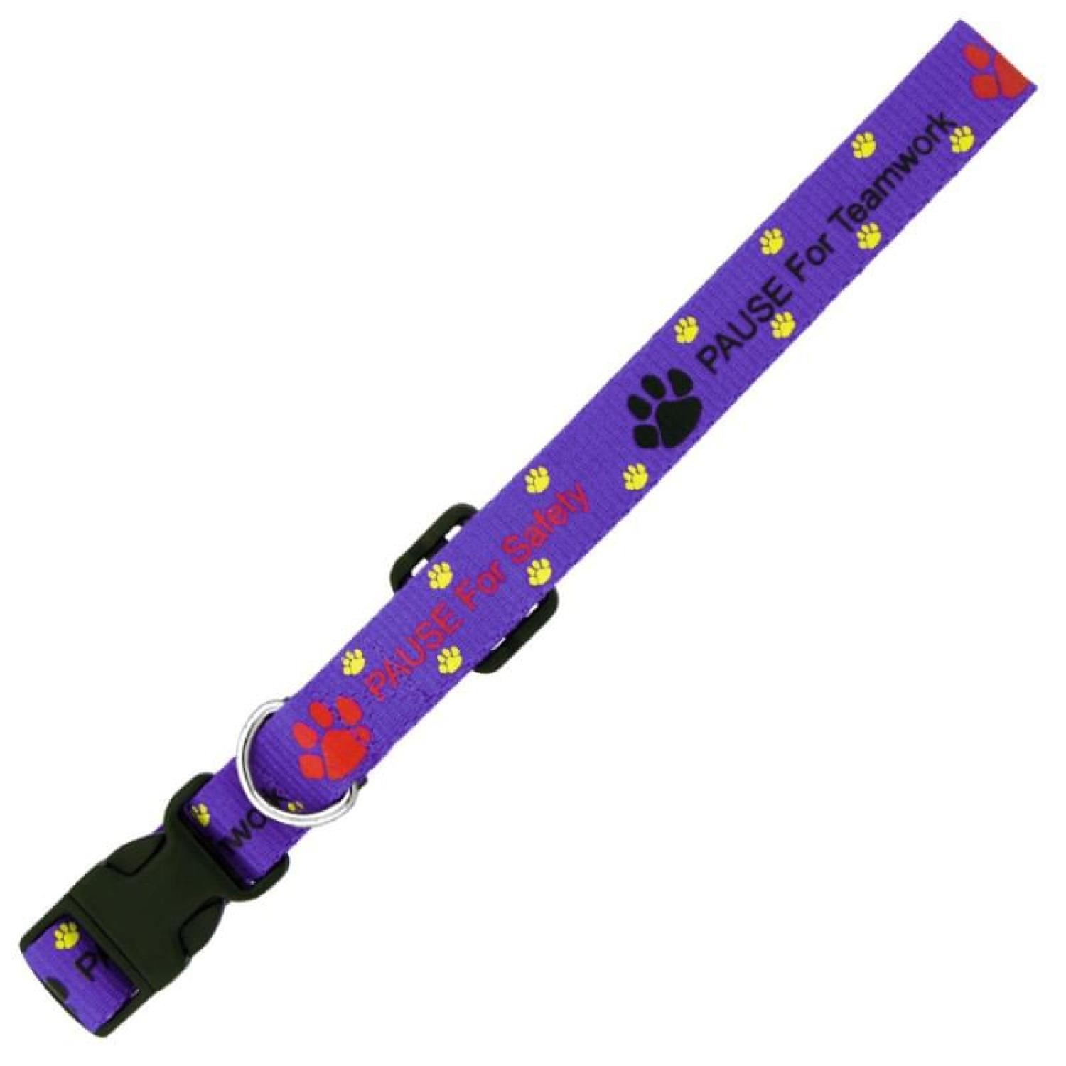 Custom 3/8" Dog Collar (QuickShip) 35-42 Days
