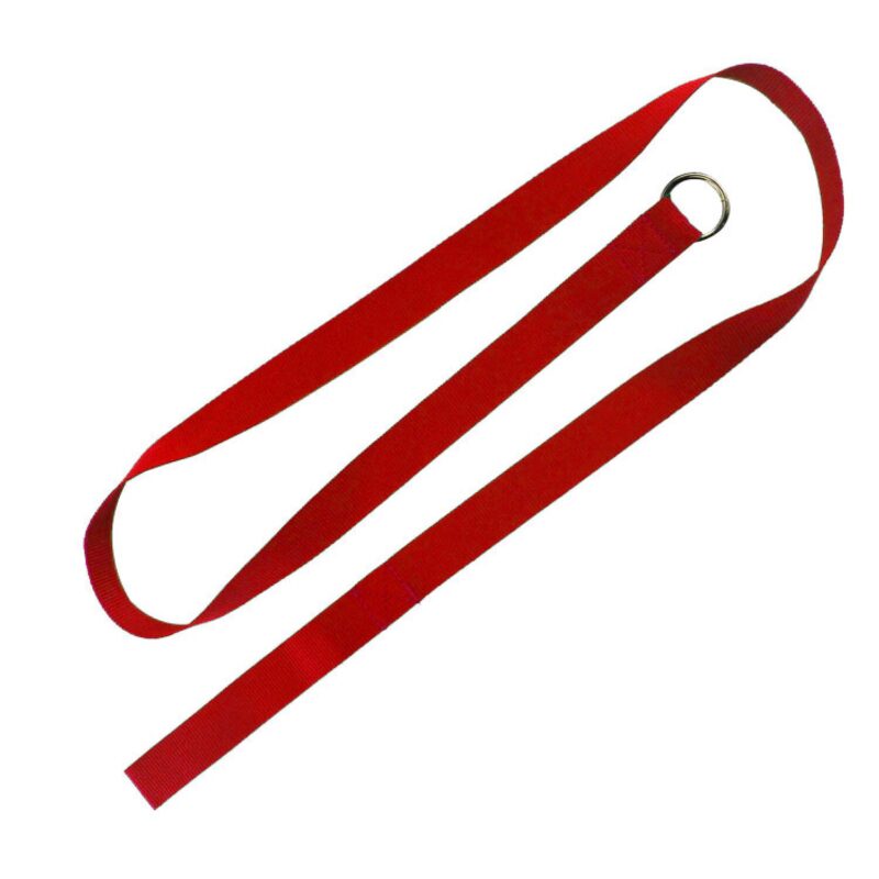 Custom 60" Slip Leash - 1