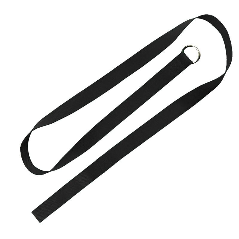 Custom 60" Slip Leash - 3