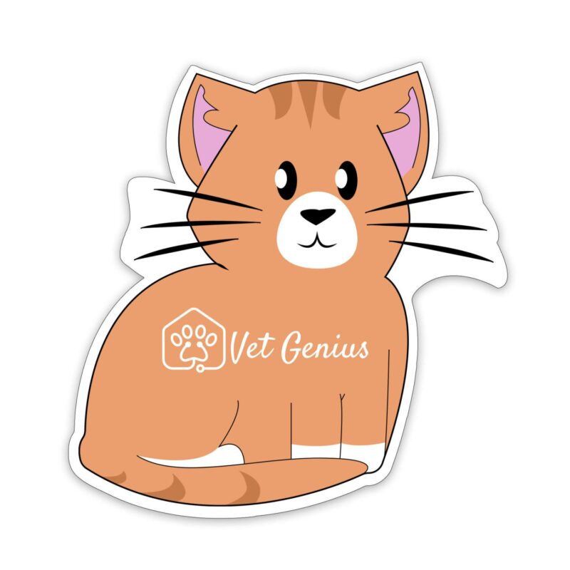 Cat-Shaped-NoteKeeper™-Magnet-20-Mil-CAT4-20 Custom Cat Shaped NoteKeeper™ Magnet 20 Mil