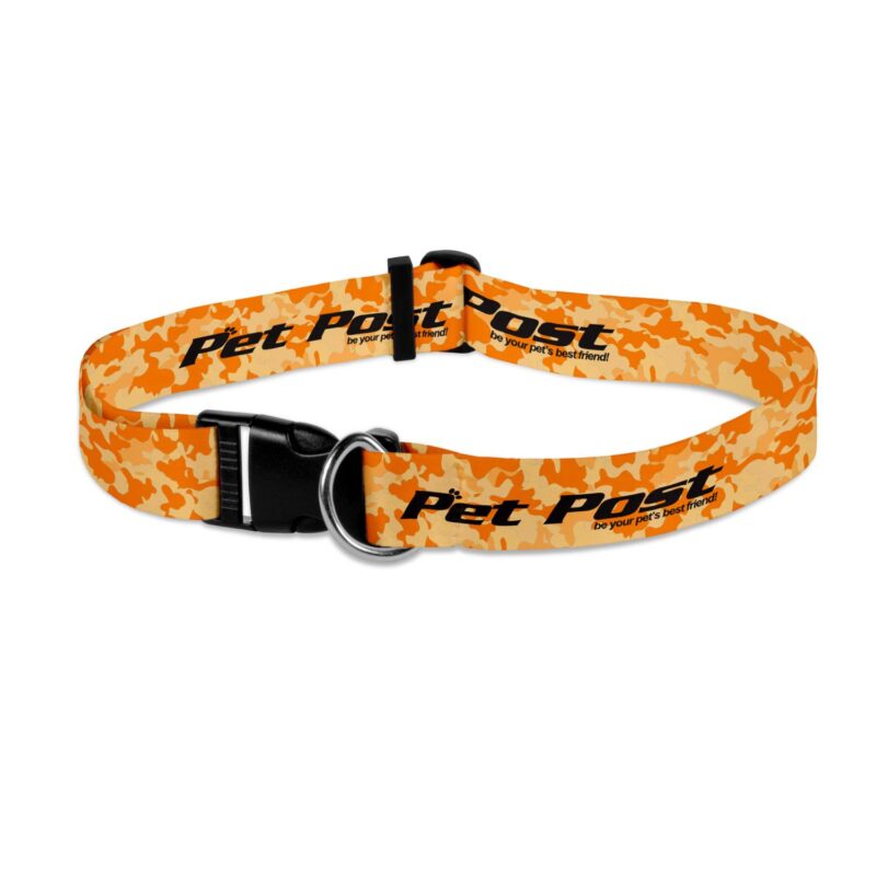 Custom Dog Collar Sublimated - 2