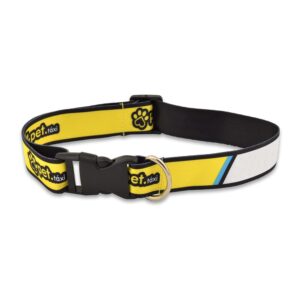 Custom Dog Collar Sublimated