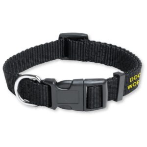 Custom Dog collar