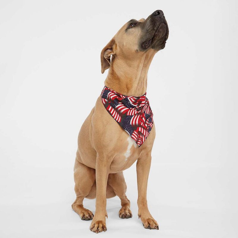 Custom Doggie Skins® USA-Made Doggie Bandana - 1