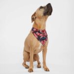 Custom Doggie Skins® USA-Made Doggie Bandana