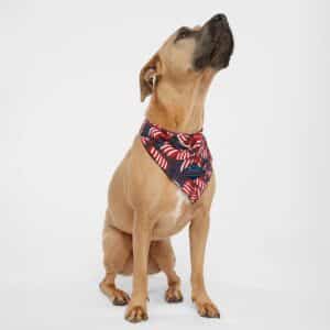 Custom Doggie Skins® USA-Made Doggie Bandana