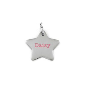 Custom Etched Pet Tag- Star