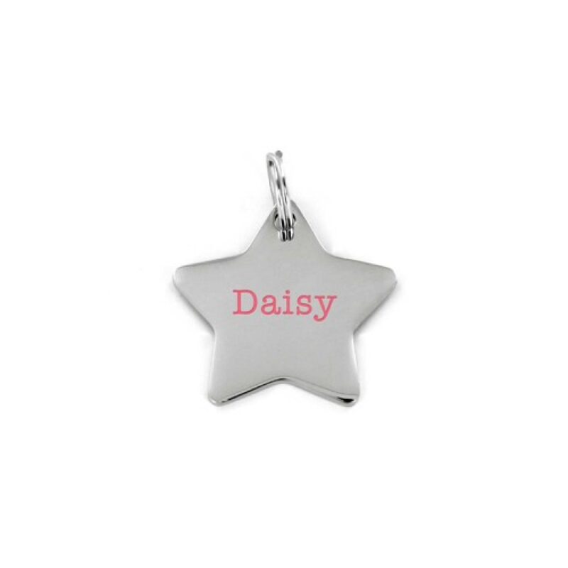 Custom Etched Pet Tag- Star
