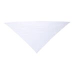 Custom Import Pet Bandana - 1