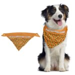 Custom Pet Bandana - 1