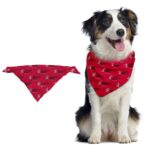Custom Pet Bandana - 2