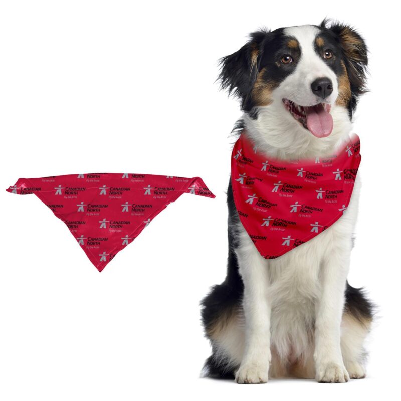 Custom Pet Bandana - 2