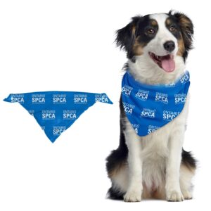 Custom Pet Bandana