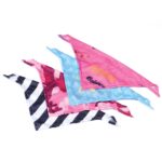 Custom Pet Bandana - 5