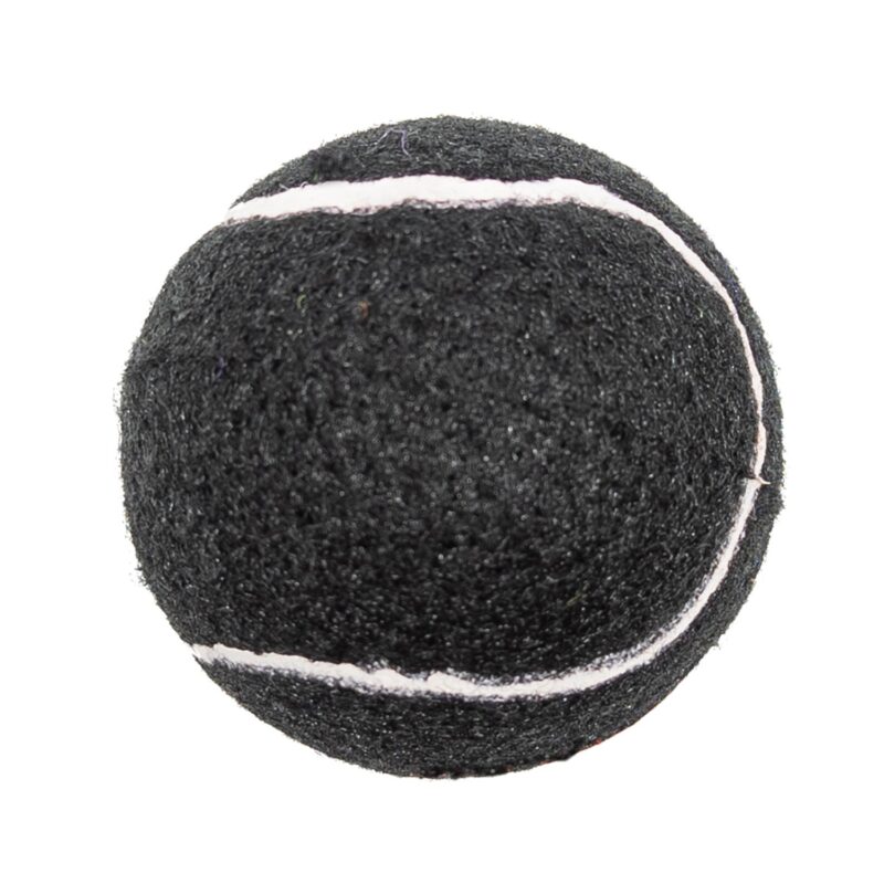 Custom Pet Fetch Toy Tennis Ball (4CP) - 2