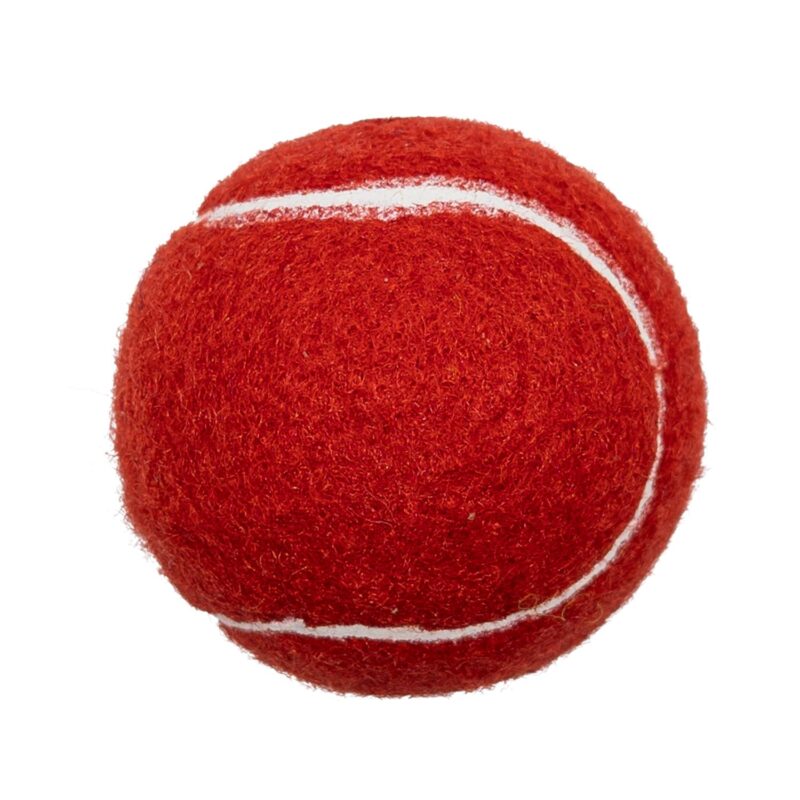 Custom Pet Fetch Toy Tennis Ball (4CP) - 7